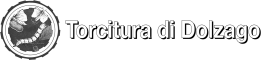 Torcitura di Dolzago s.r.l.